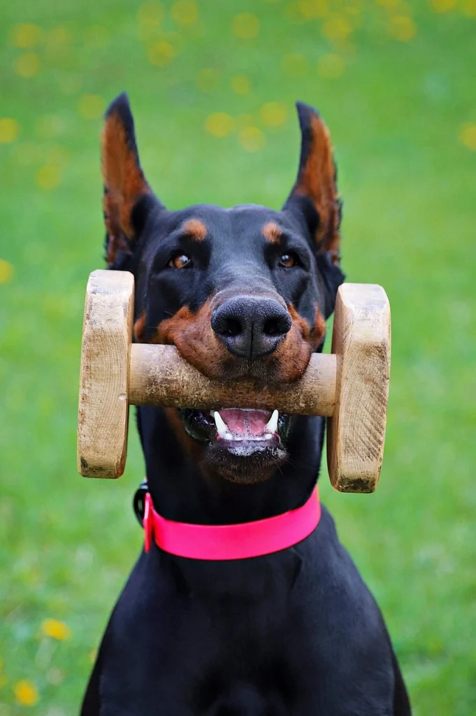 Doberman vs Rottweiler for Family: Which One’s the Better Fit?