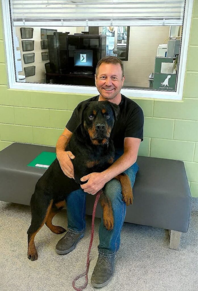 Rottweiler Found the One Person Who Stayed